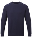 Sweatshirt Organic Crew Neck Mens